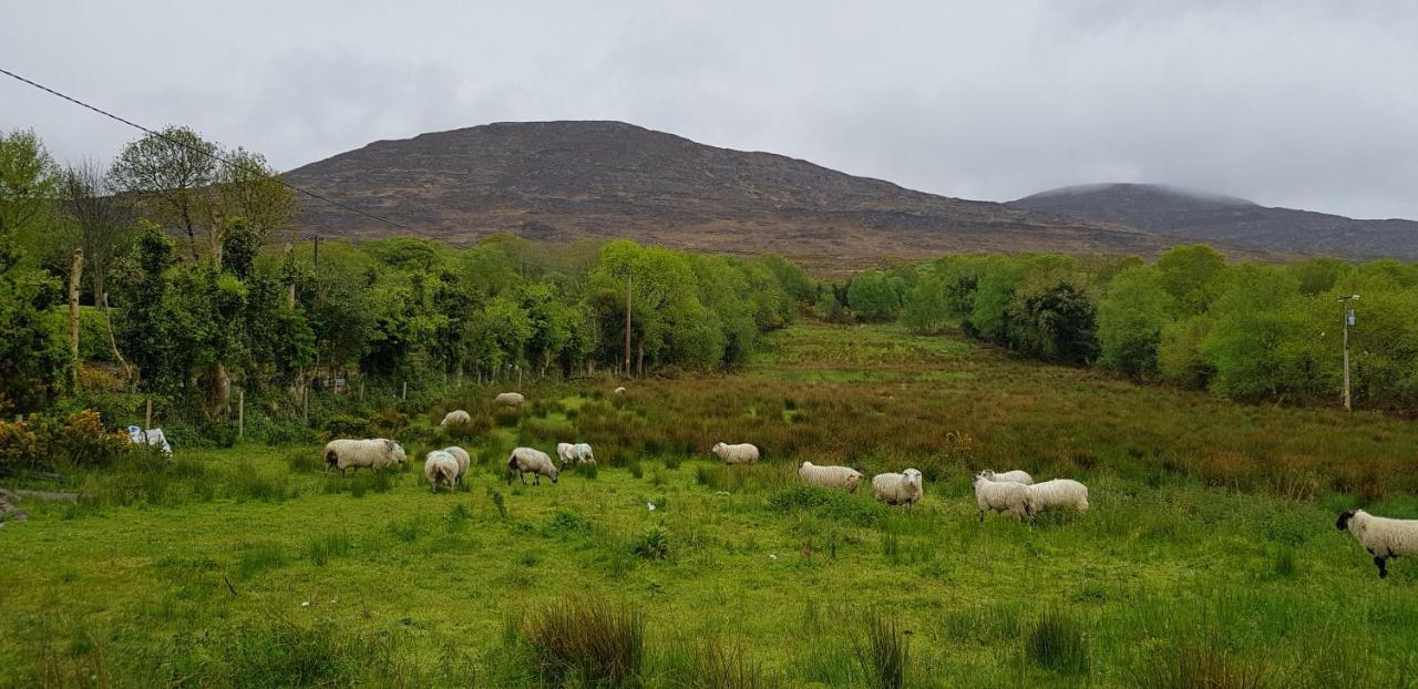 Mountain View Bed & Breakfast, Kenmare, Co. Kerry, Ireland Exterior foto